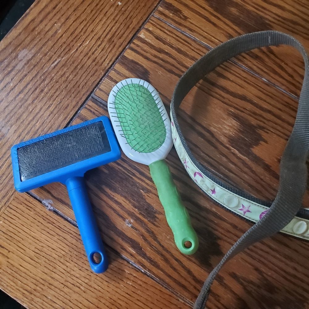 Dog star leash and 2 brushes